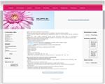 Отличный дизайн для почтового спонсора ZmailCasher