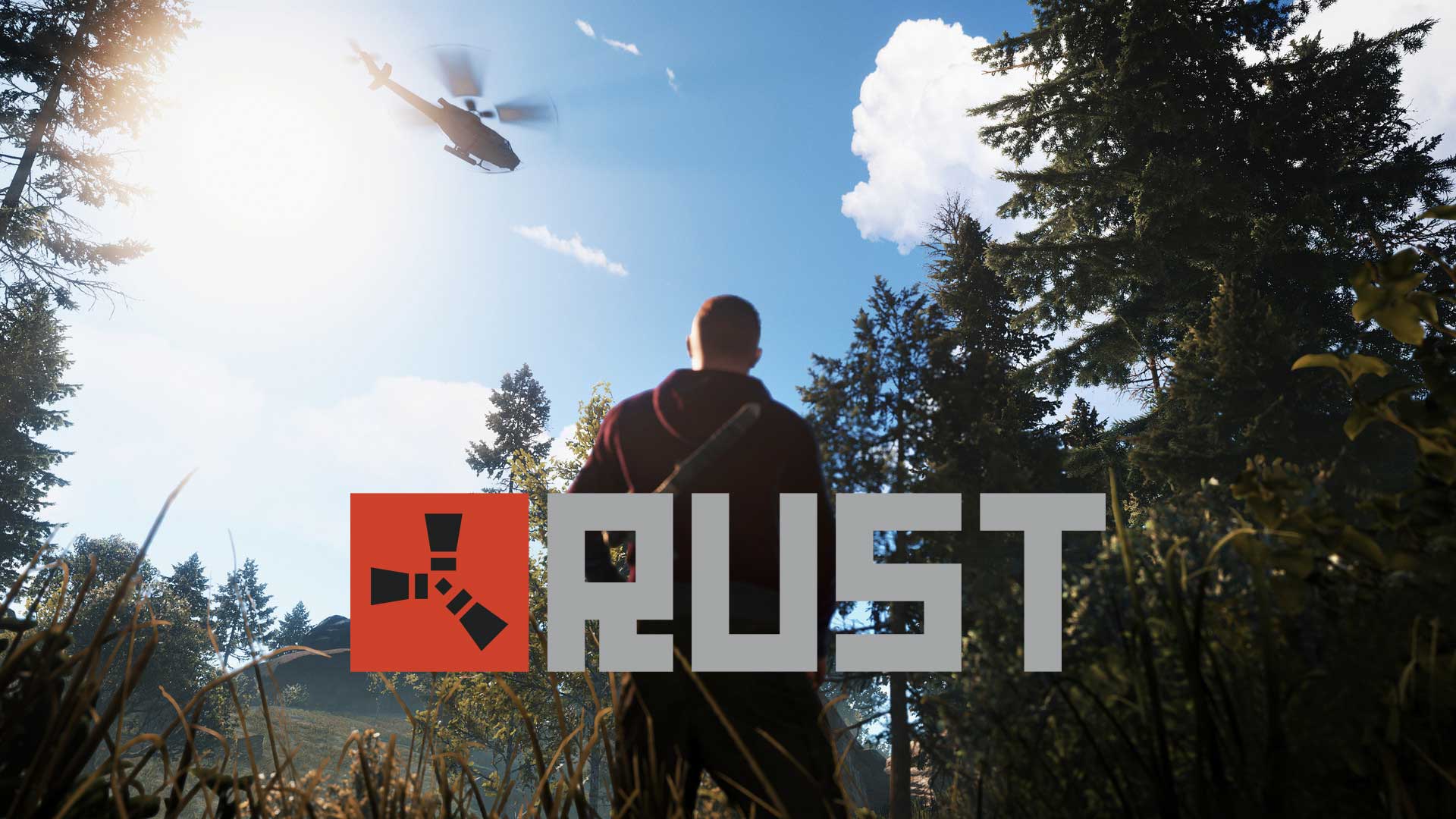 RUST 💎 [ONLINE STEAM] ✅ Полный доступ ✅ + 🎁