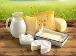 Бизнес план - Молочный завод