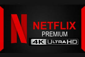 Личный кабинет Netflix Premium 4K 1 месяц