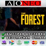 The ForestSteamRU