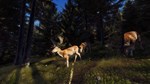 Way of the Hunter Elite Edition Steam GIFTRU - изображение № 6
