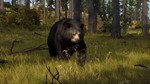 ???????????? Way of the Hunter+DLCPAYPALSTEAM ???????????? - изображение № 7
