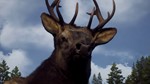 ???????????? Way of the Hunter+DLCPAYPALSTEAM ???????????? - изображение № 6
