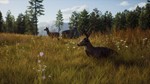 ???????????? Way of the Hunter+DLCPAYPALSTEAM ???????????? - изображение № 8