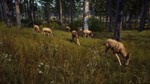 ???????????? Way of the Hunter+DLCPAYPALSTEAM ???????????? - изображение № 9