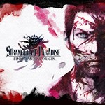 STRANGER OF PARADISE FINAL FANTASY ORIGIN  DELUXE STEAM