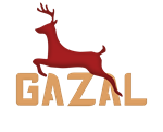 GAZAL TV Firmware - Part 01