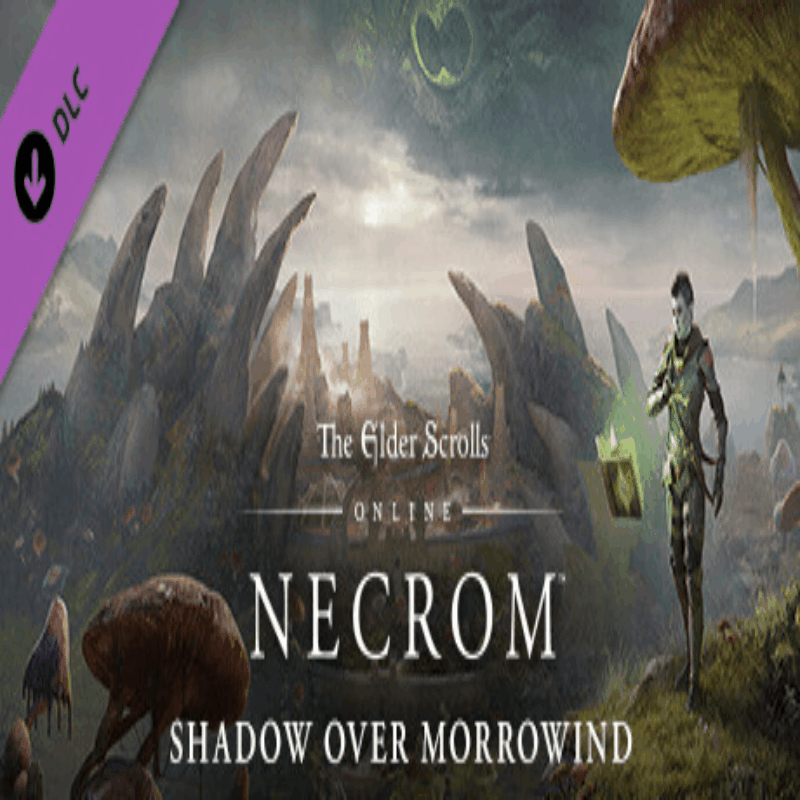 ⭐ The Elder Scrolls Online Collection: Necrom STEAM РФ