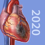️ Physiology & Pathology iPhone ios iPad Appstore + 
