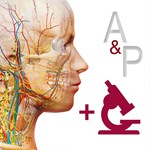 ️Anatomy & Physiology iPhone ios iPad Appstore + 