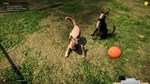 ⭐ Animal Shelter Steam Gift  АВТОВЫДАЧА  ВСЕ РЕГИОНЫ - изображение № 5