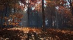 ⭐theHunter Call of the Wild New England Mountains Steam - изображение № 4