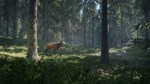 ⭐ theHunter: Call of the Wild Steam Gift АВТО РОССИЯ - изображение № 5