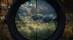 ⭐ theHunter: Call of the Wild Steam Gift АВТО РОССИЯ - изображение № 4