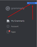 GRAMMARLY PREMIUM ACCOUNT 1 MONTH - изображение № 2