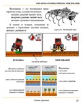 Основы агрономии. Просто. В картинках - изображение № 7