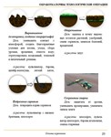 Основы агрономии. Просто. В картинках - изображение № 8