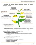 Основы агрономии. Просто. В картинках - изображение № 2