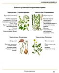 Основы агрономии. Просто. В картинках - изображение № 6