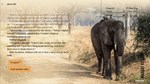 Wanderlust: Travel Stories\GOG\Весь Мир + РФ\Ключ - изображение № 8