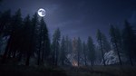 Nightwalker\Steam\Весь Мир + РФ\Ключ - изображение № 6