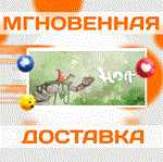 Hoa\Steam\Весь Мир + РФ\Ключ