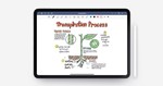 IPAD Productivity Package 400+ apps unblock lifetime