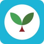 Seedlang pro аккаунт 1 месяц подписки