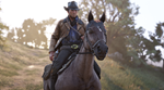 ️⭐Red Dead Redemption 2 XBOX⭐Покупка на Ваш акк⭐️ ???? - изображение № 3
