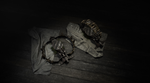️⭐Hunt: Showdown 1896 - Taker of Trophies XBOX⭐️ - изображение № 2