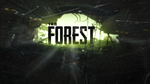 THE FORESTREGION FREESTEAMБЕЗ ОЧЕРЕДИ - изображение № 2