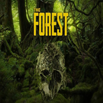 THE FORESTREGION FREESTEAMБЕЗ ОЧЕРЕДИ