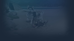  Little Friends: Puppy Island | Steam Россия  - изображение № 3