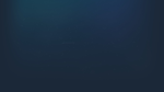  Wallpaper Engine | Steam РУ+UA+KZ+СНГ - изображение № 3