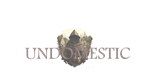  Undomestic | Steam РУ+UA+KZ+СНГ - изображение № 4