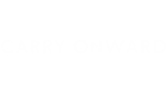  Carry Onward | Steam РУ+UA+KZ+СНГ - изображение № 4