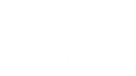 Strayed Lights | Steam РУ+UA+KZ+СНГ - изображение № 4
