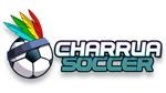  Charrua Soccer | Steam РУ+UA+KZ+СНГ - изображение № 4