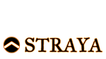  Straya | Steam РУ+UA+KZ+СНГ - изображение № 4