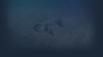  Ringborn | Steam РУ+UA+KZ+СНГ - изображение № 3