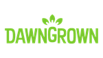  Dawngrown | Steam РУ+UA+KZ+СНГ - изображение № 4