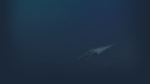 Star Survivor | Steam РУ+UA+KZ+СНГ - изображение № 3