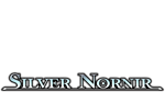 Silver Nornir | Steam РУ+UA+KZ+СНГ - изображение № 4