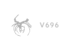  V696 | Steam РУ+UA+KZ+СНГ - изображение № 4
