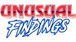 Unusual Findings | Steam РУ+UA+KZ+СНГ - изображение № 4