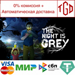  The Night is Grey | Steam РУ+UA+KZ+СНГ