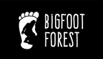  Bigfoot Forest | Steam РУ+UA+KZ+СНГ - изображение № 2
