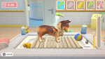  My Universe - Pet Clinic Cats & Dogs |Steam РУ+С - изображение № 4