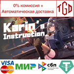 Karin's Instruction | Steam РУ+UA+KZ+СНГ